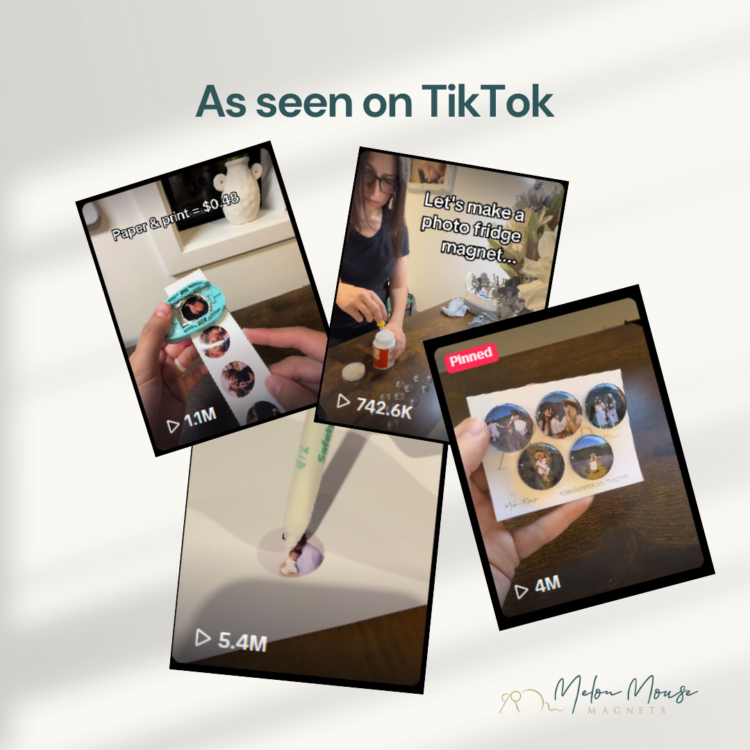 Magnet Maker Starter Kit